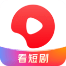 我的辅导班呢
